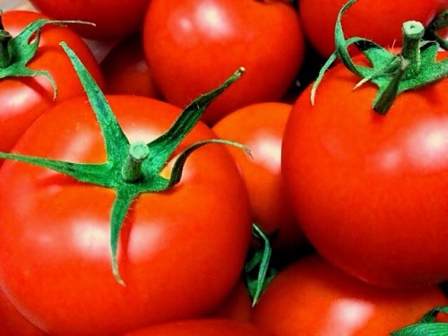日焼け対策　トマト